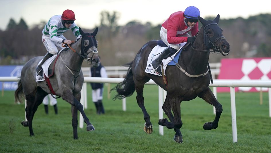 sir gerhard horse 0010
