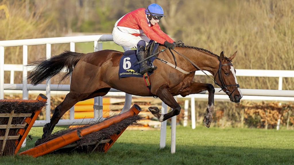 sir gerhard horse 0012