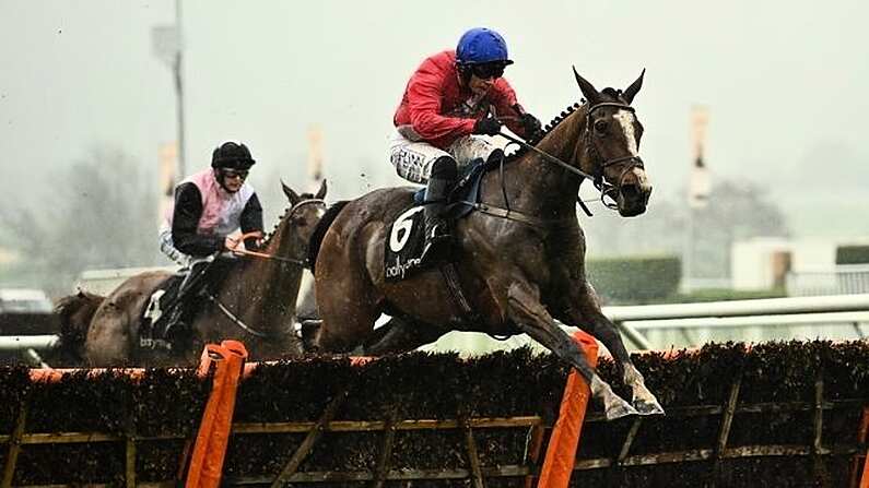 sir gerhard horse 0018