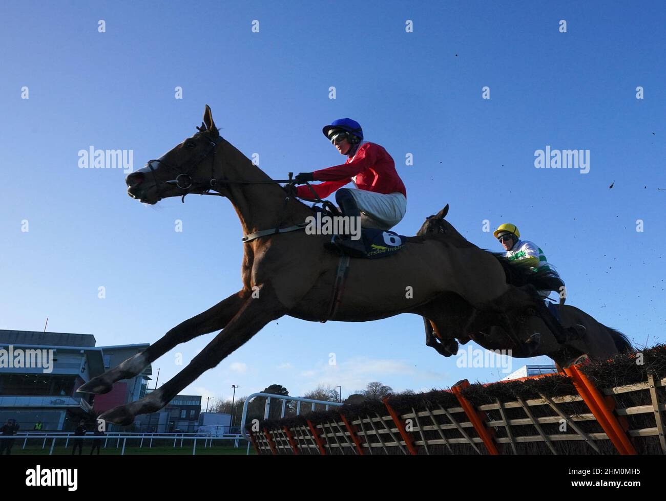 sir gerhard horse 0019