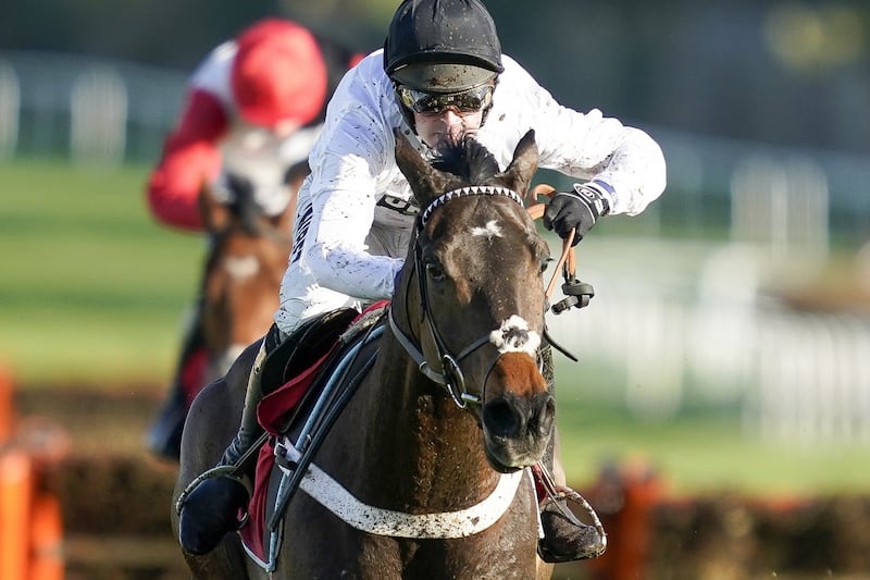sir gerhard horse 0025