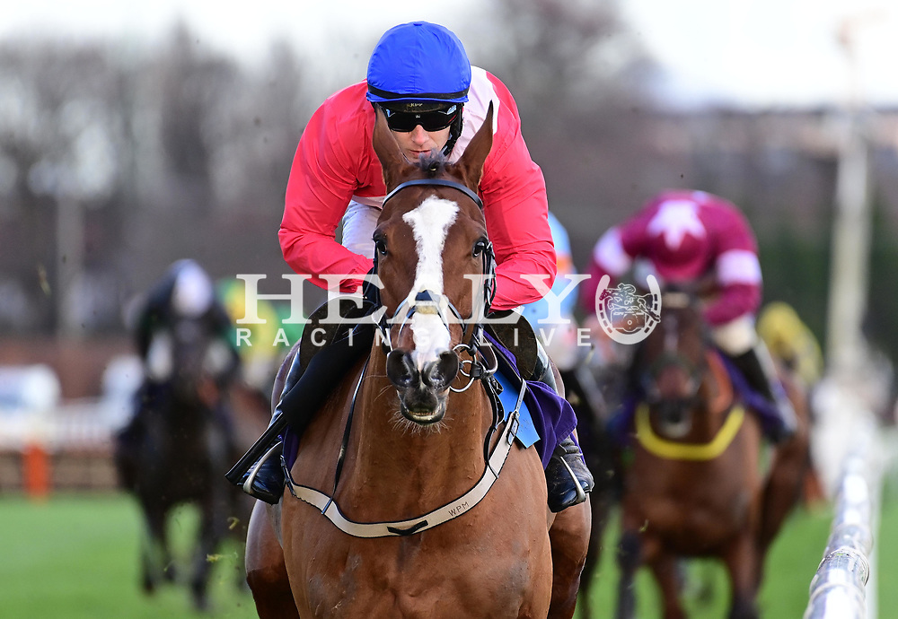 sir gerhard horse 0037