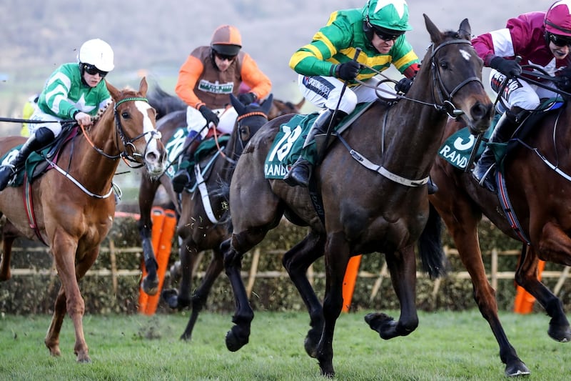 sir gerhard horse 0039