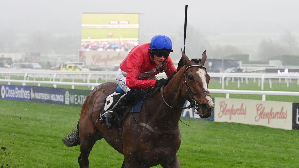 Sir Gerhard stable insights