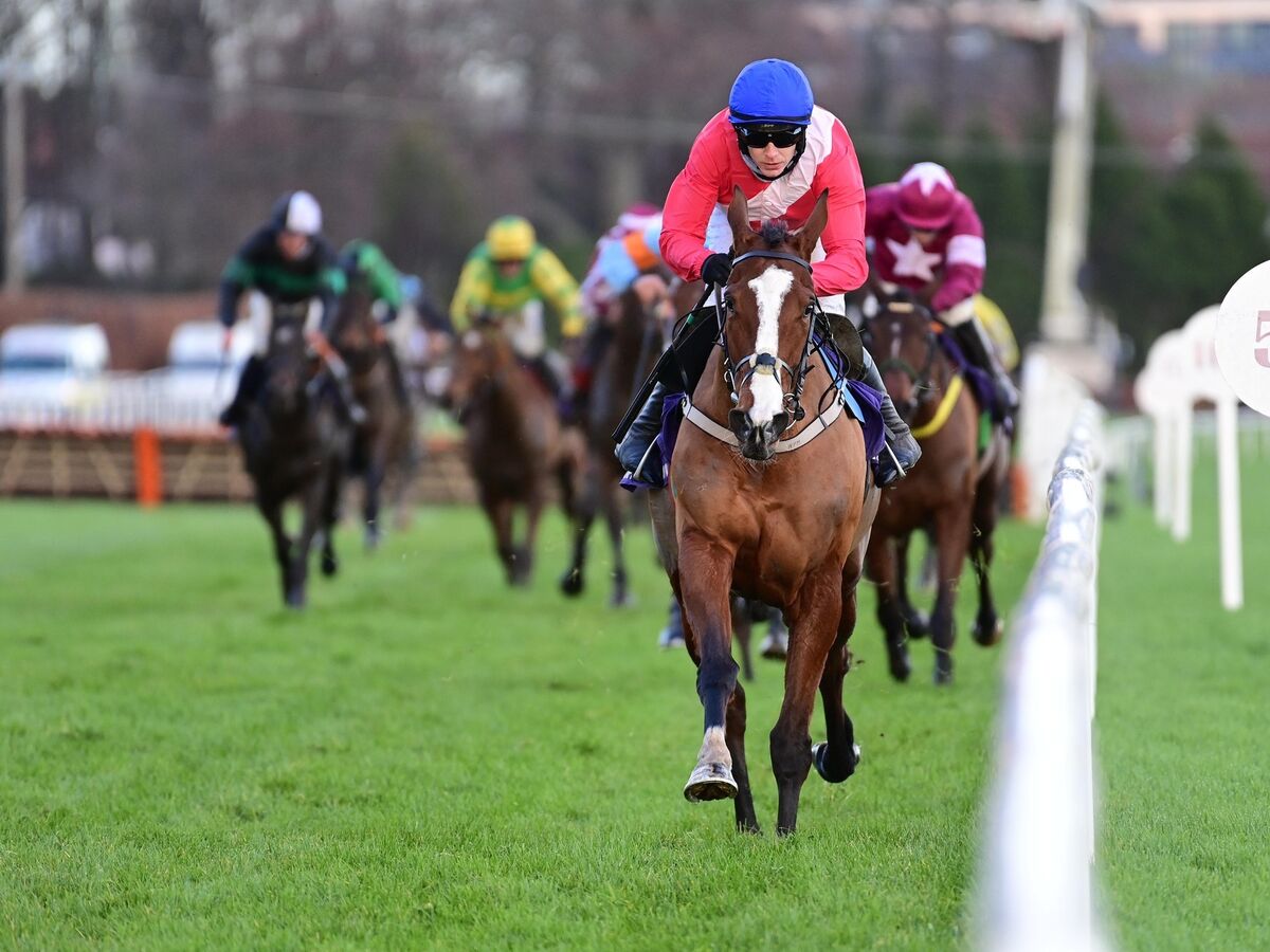 Sir Gerhard training updates
