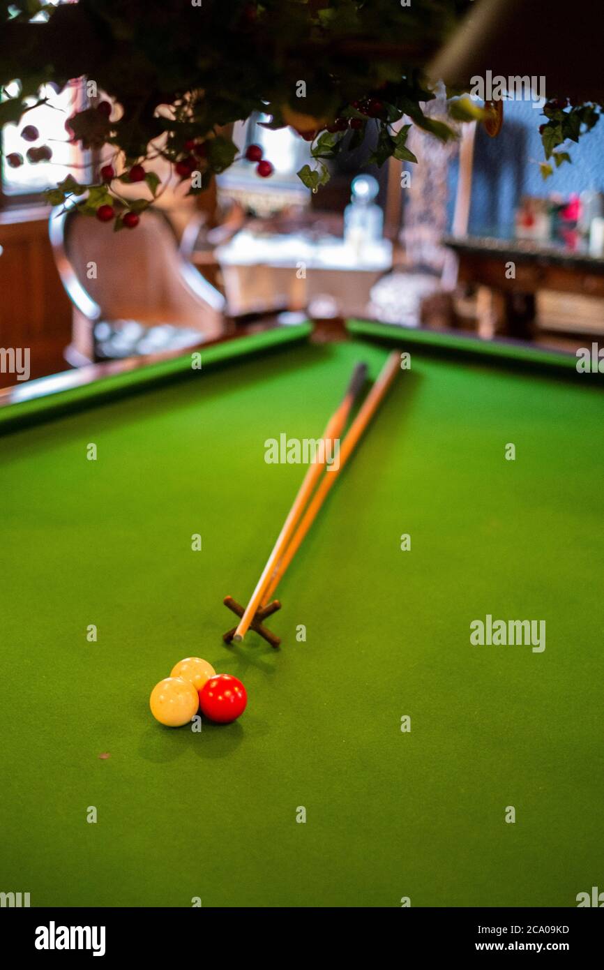 snooker rest 0028