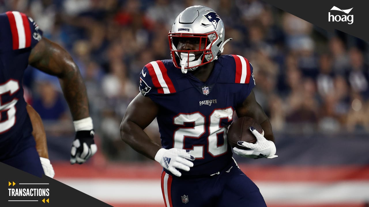 sony michel chargers 0013