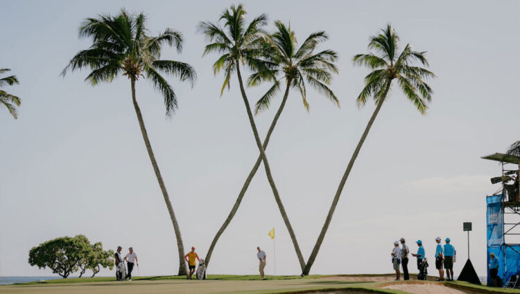 Sony Open Course 0013