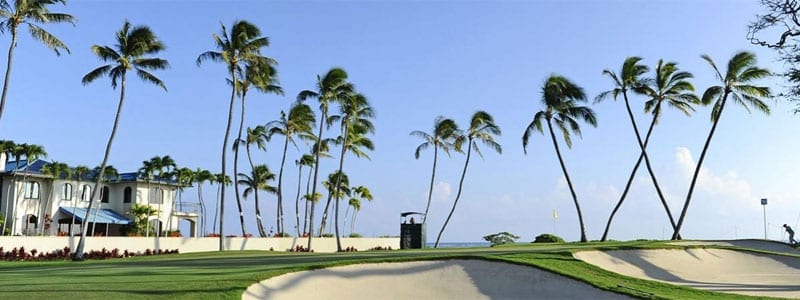 Sony Open Course 0023