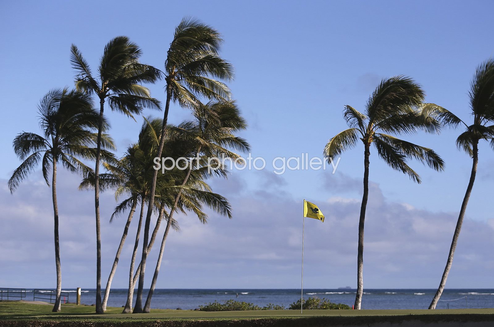 Sony Open Course 0043
