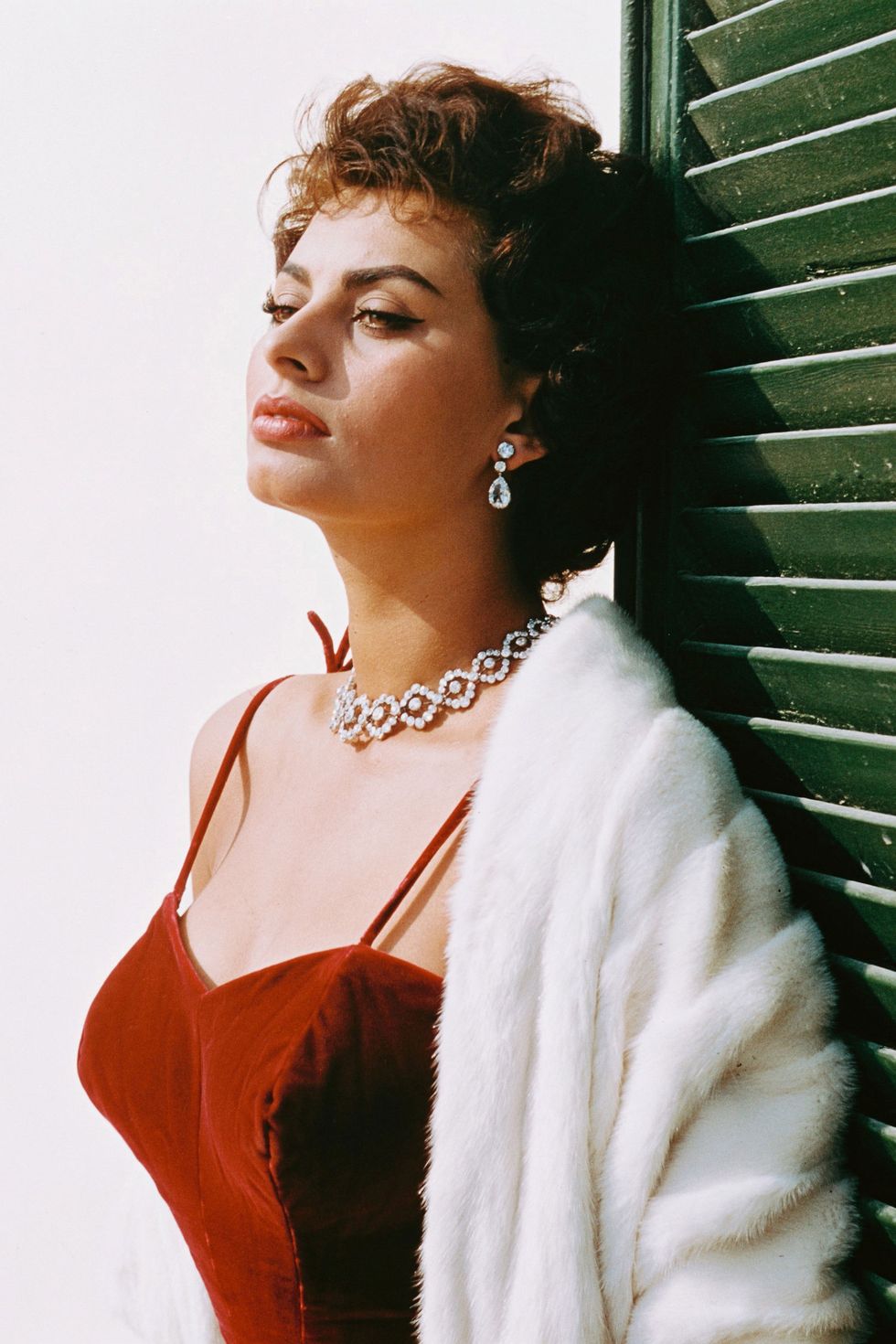 sophia loren 1965 0024