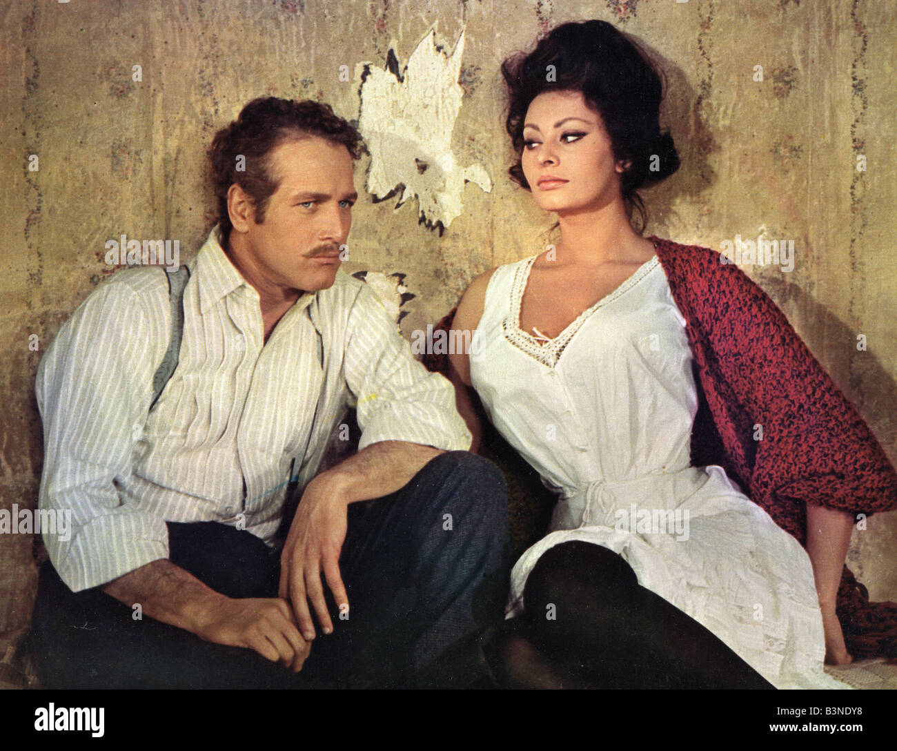sophia loren 1965 0028