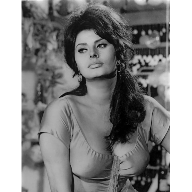 sophia loren portrait art.