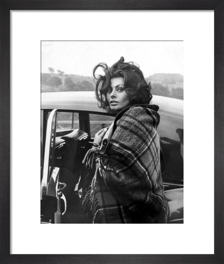 sophia loren print 0009