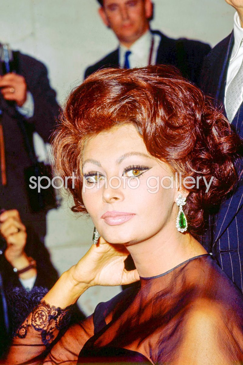 sophia loren print 0027
