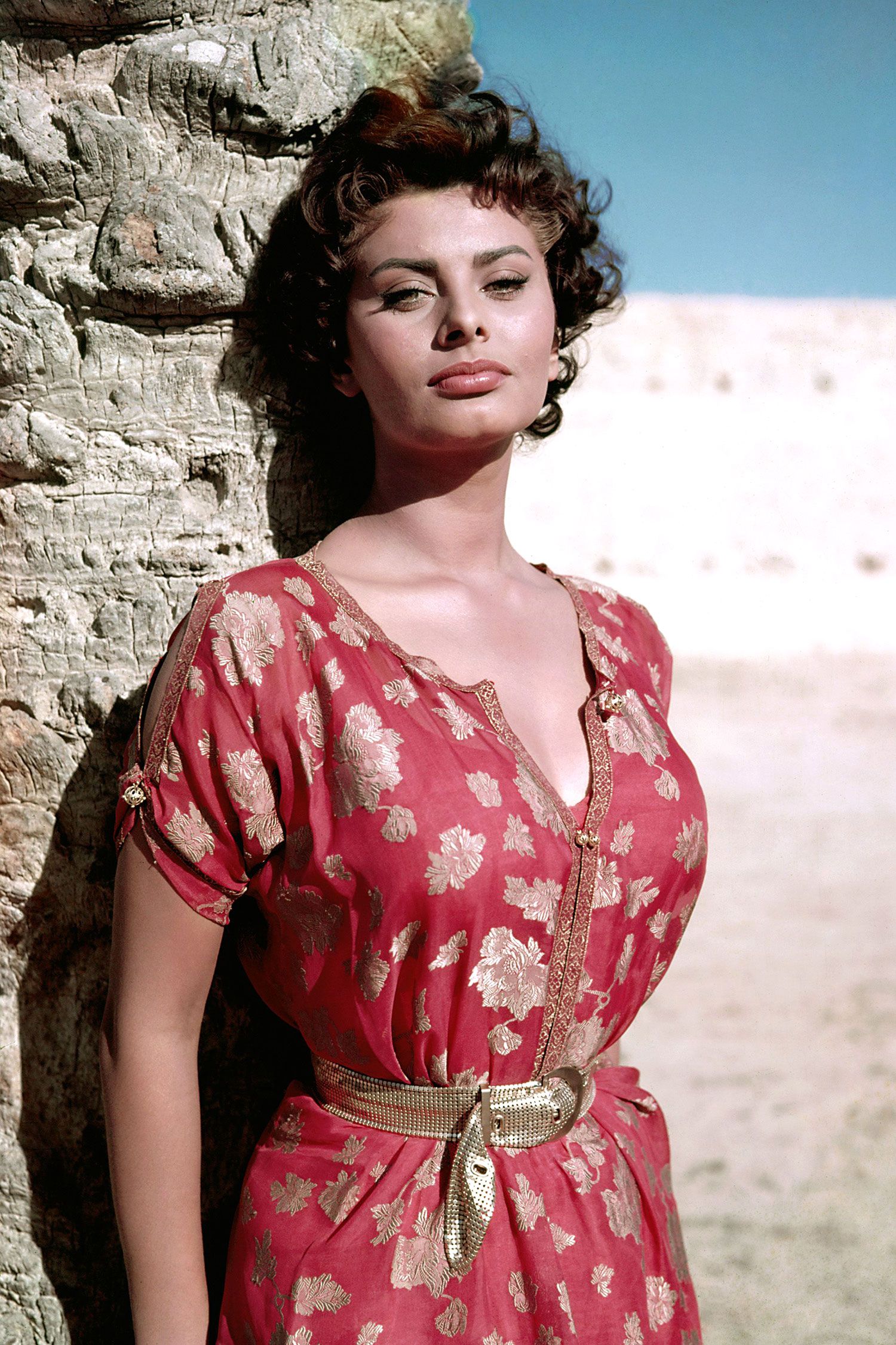 sophia loren print 0043