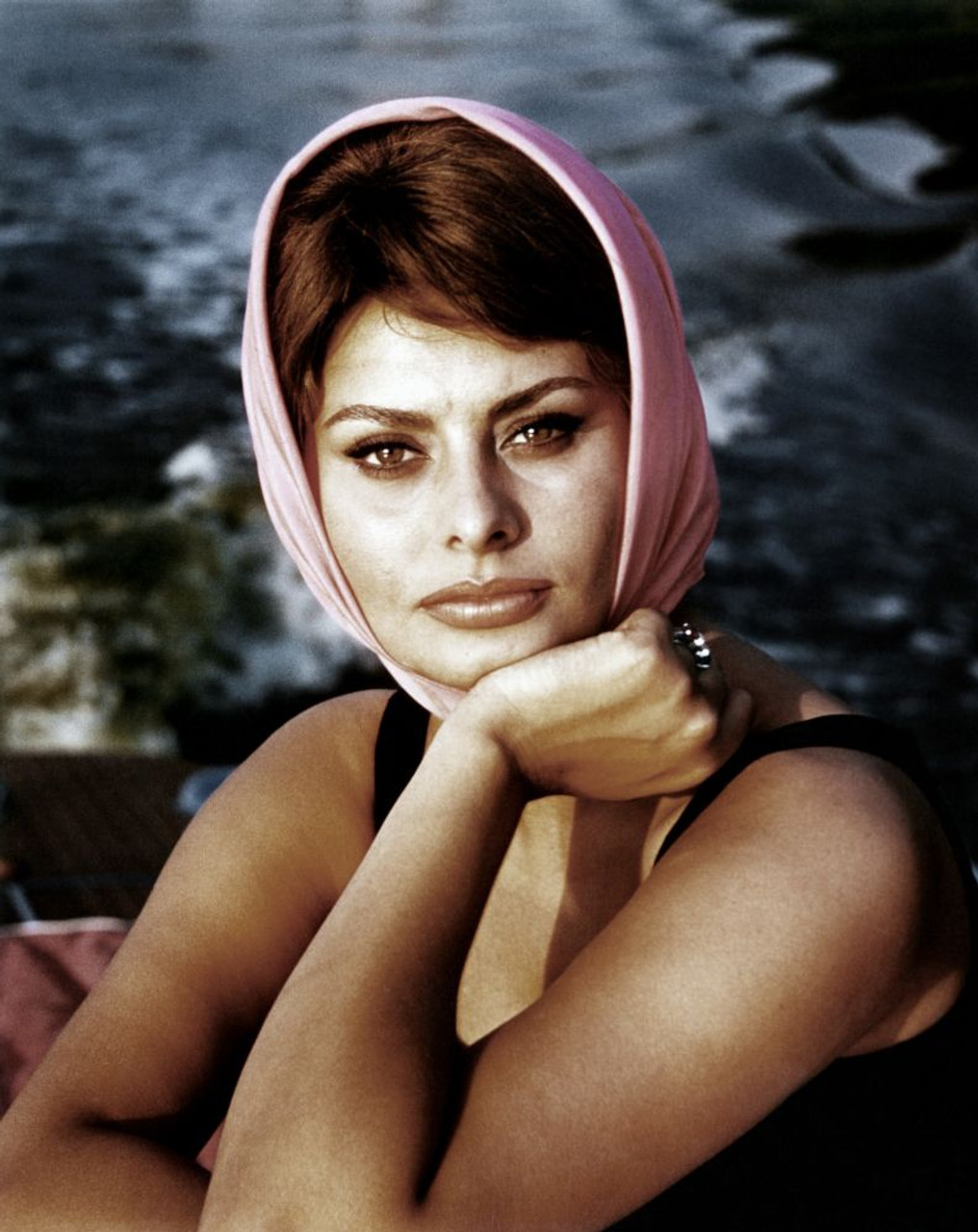 sophia loren print 0044