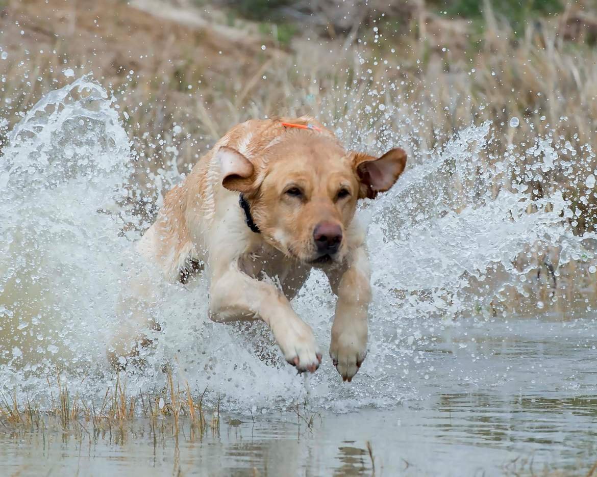 sport photography websites 0046