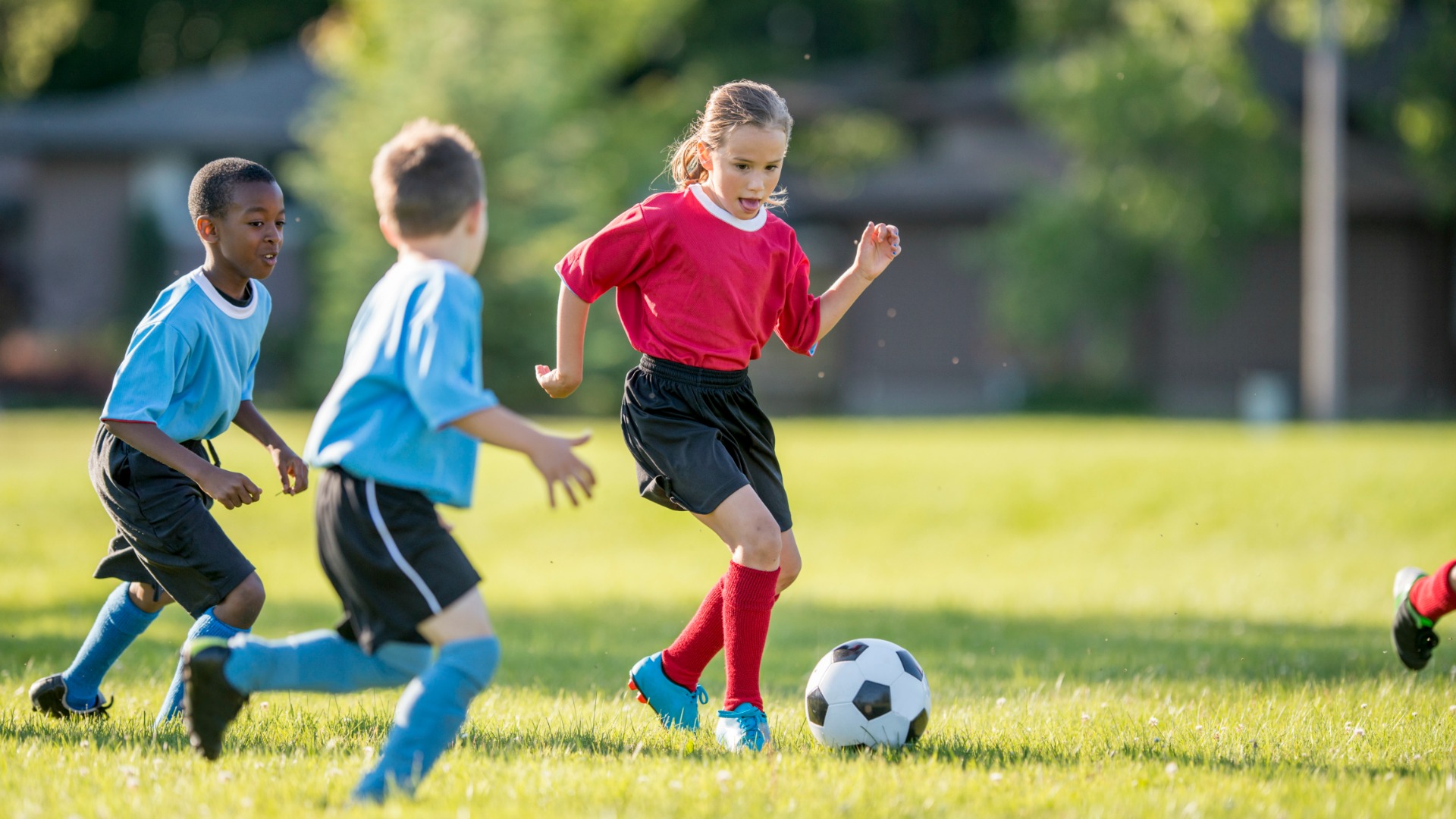 sports pics