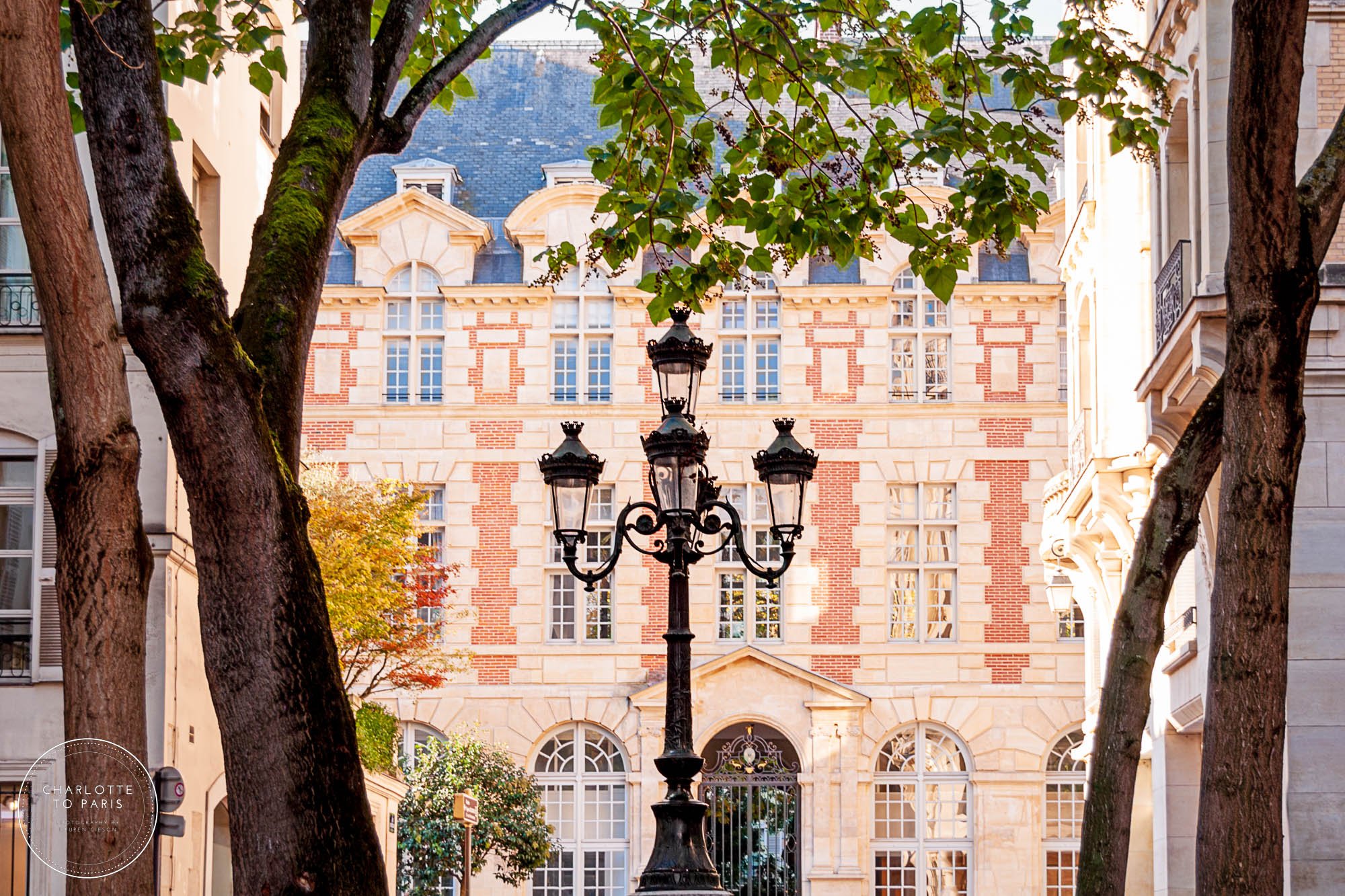 st germain image 0020