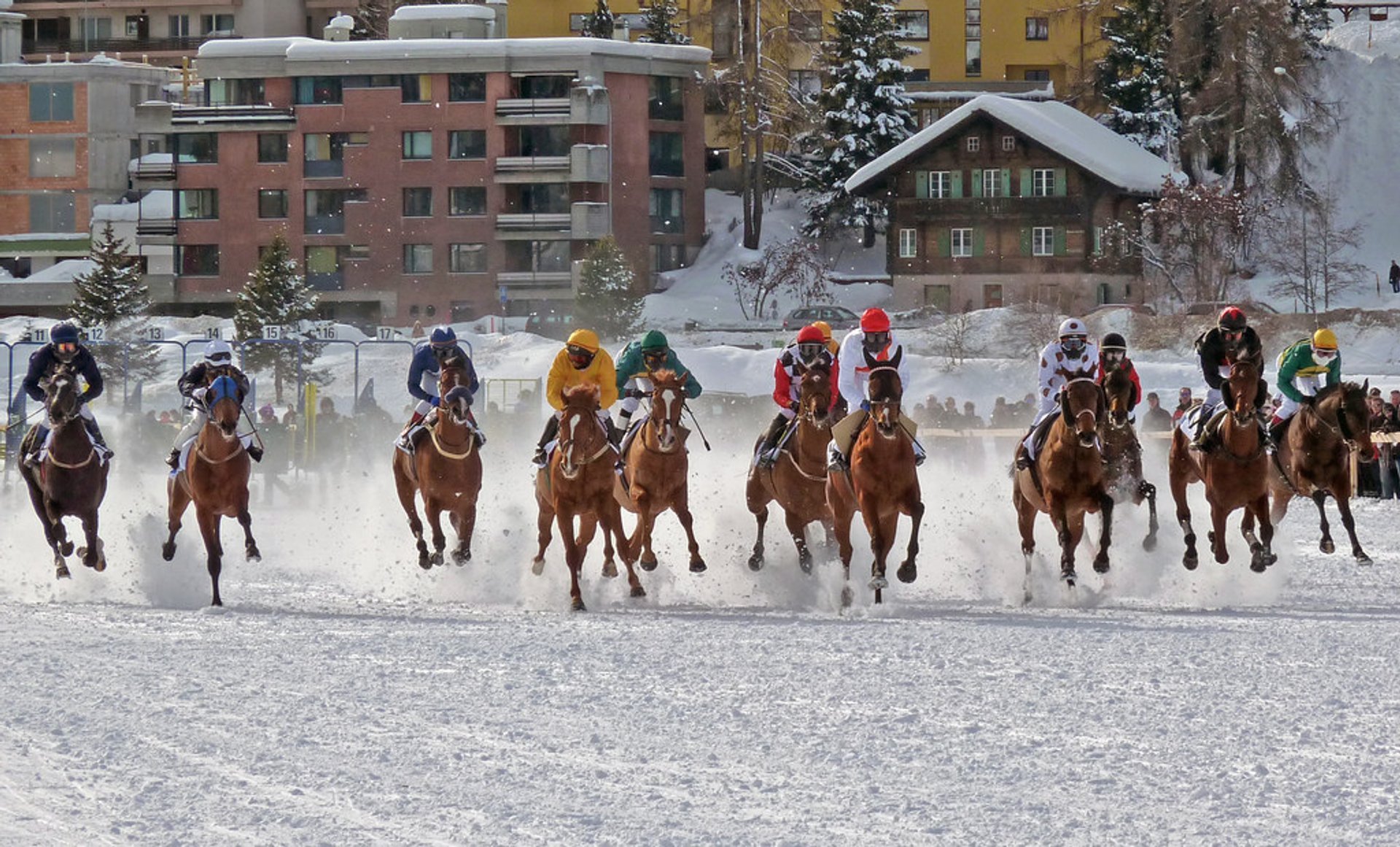 St. Moritz horse race experience