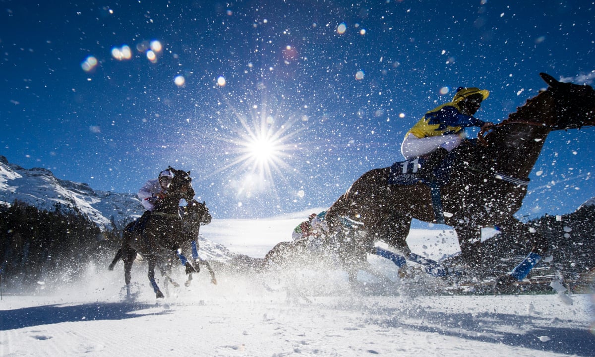 st moritz horse race 0012