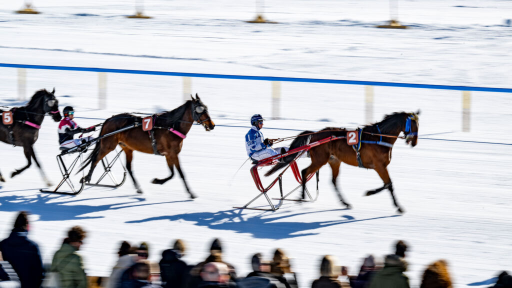 st moritz horse race 0016
