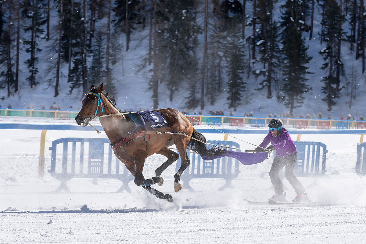 st moritz horse race 0017