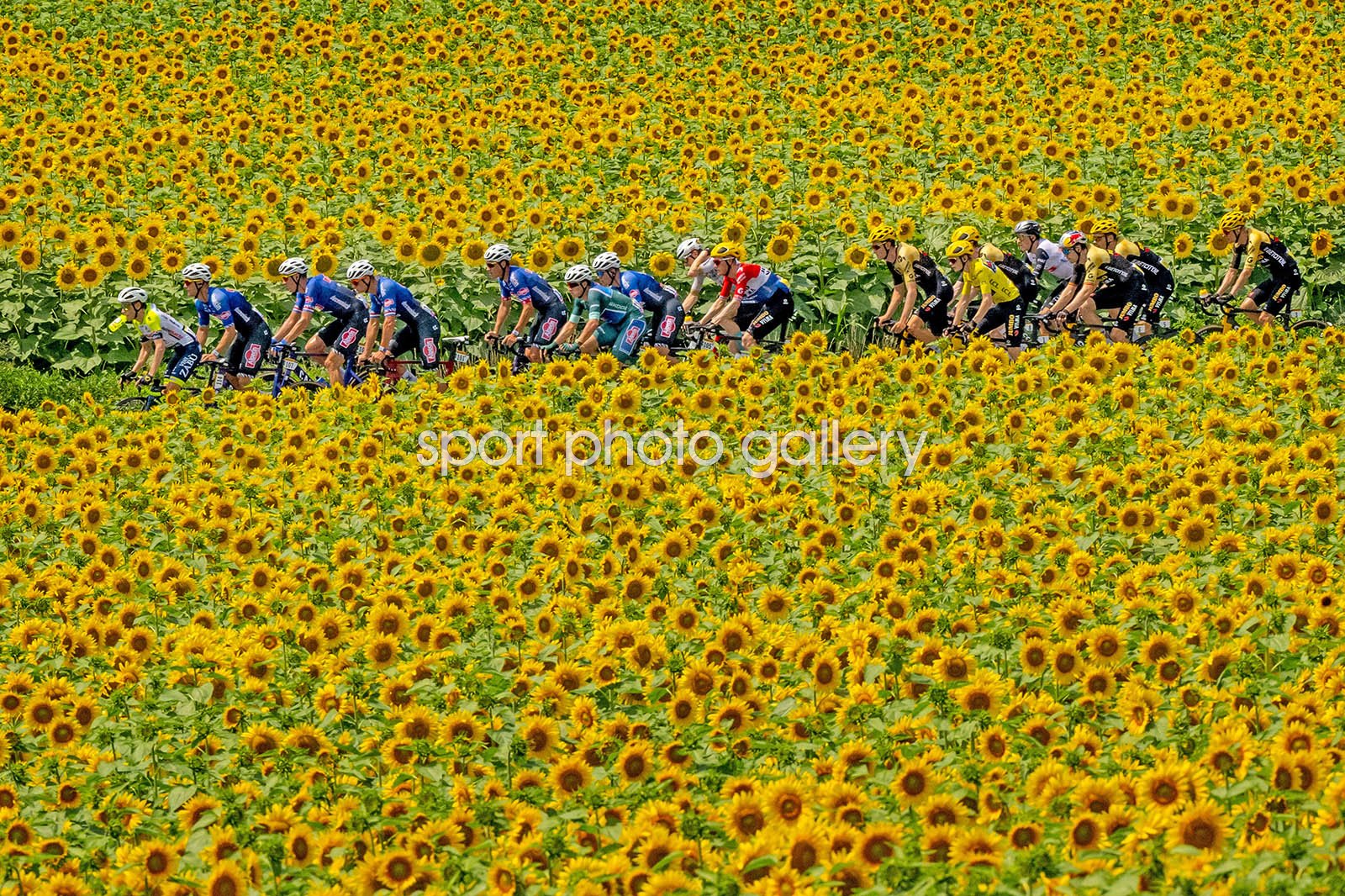 stage 8 tour de france 2023 0048