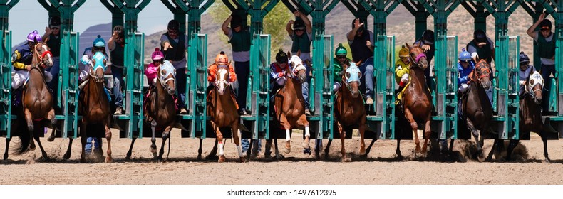 starting gate action shots
