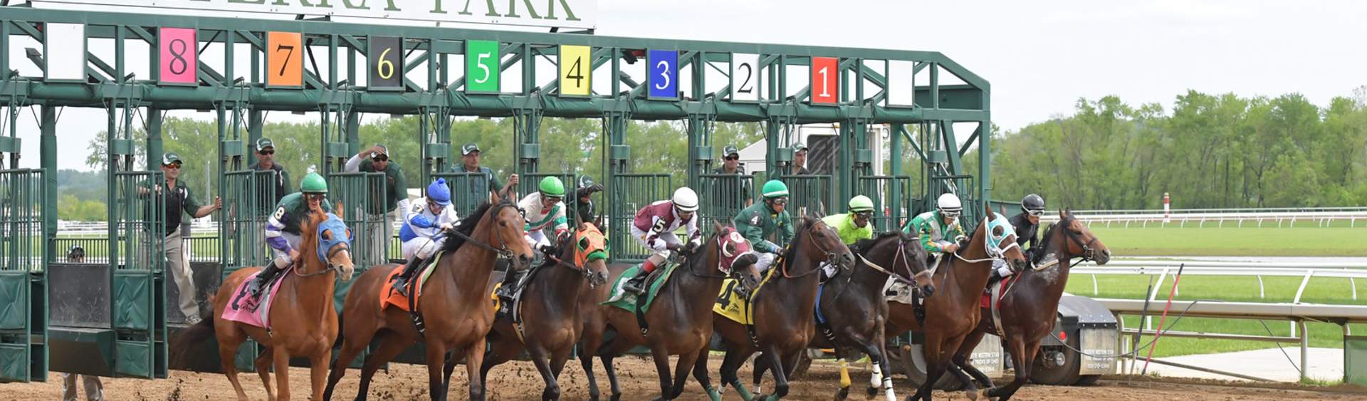 starting gate photos 0029