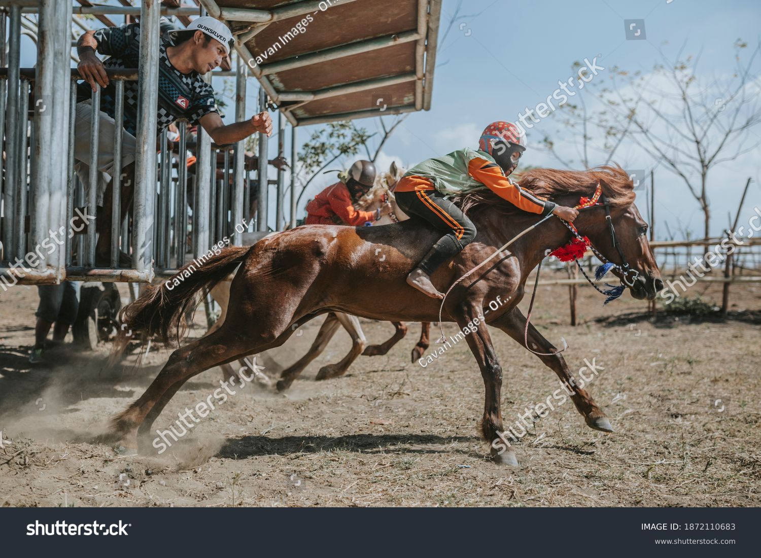 starting gate photos 0030