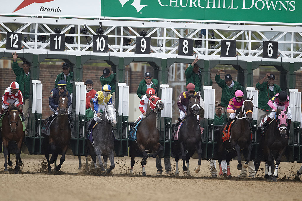 starting gate photos 0034
