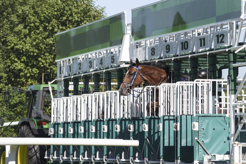starting gate photos 0045
