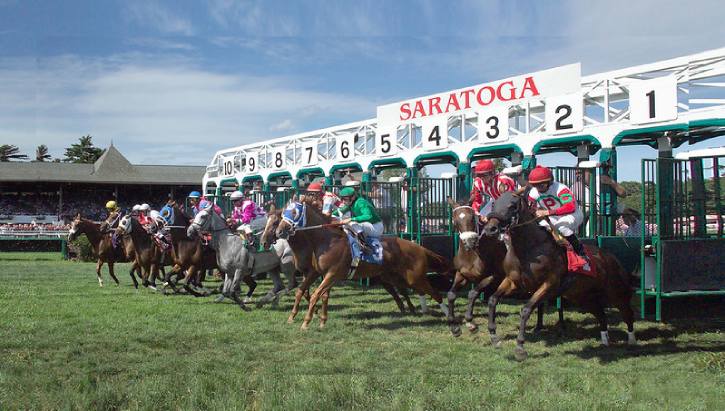 starting gate photos 0049