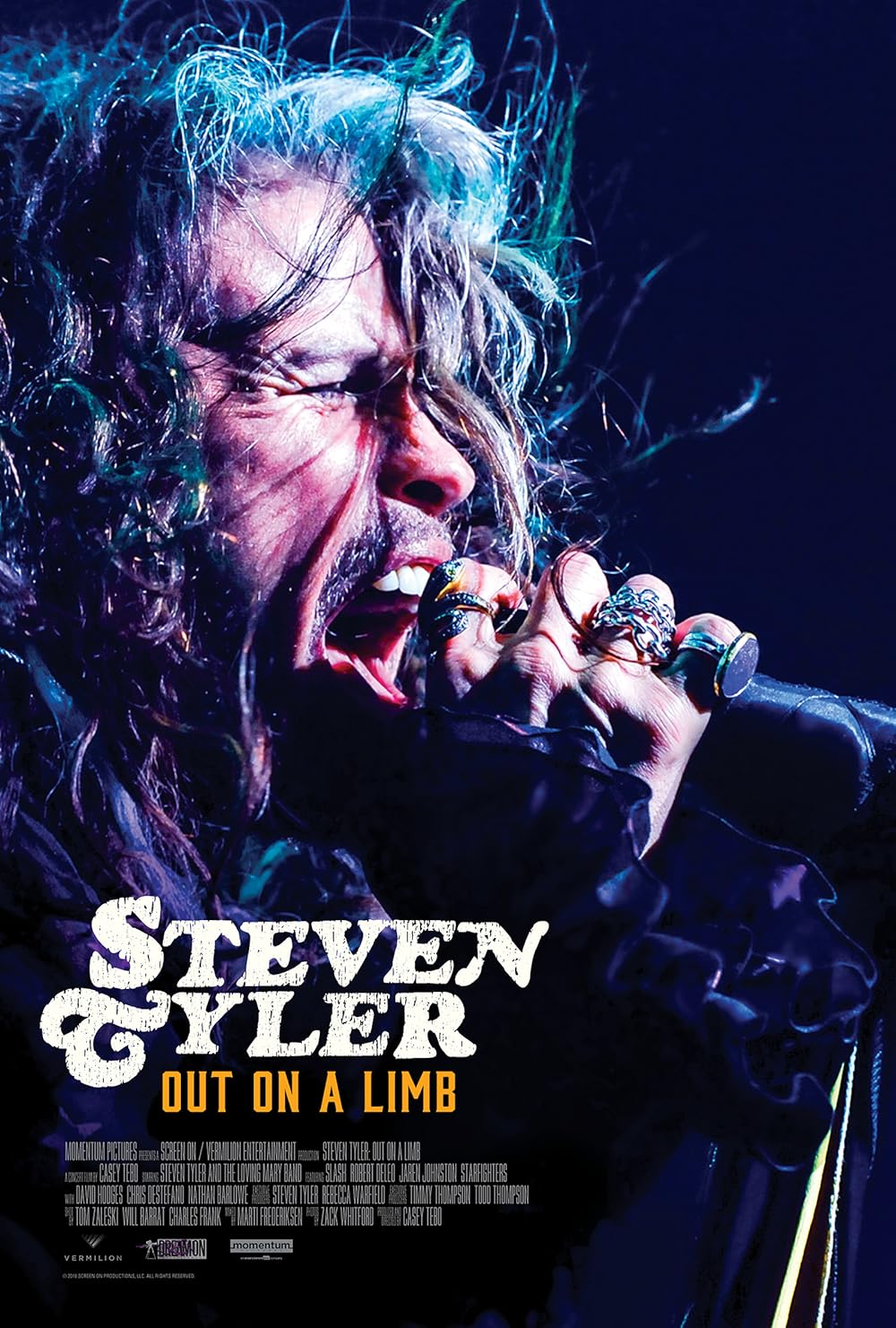 steven tyler decor