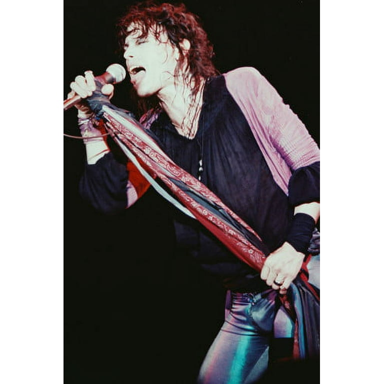 steven tyler poster collection