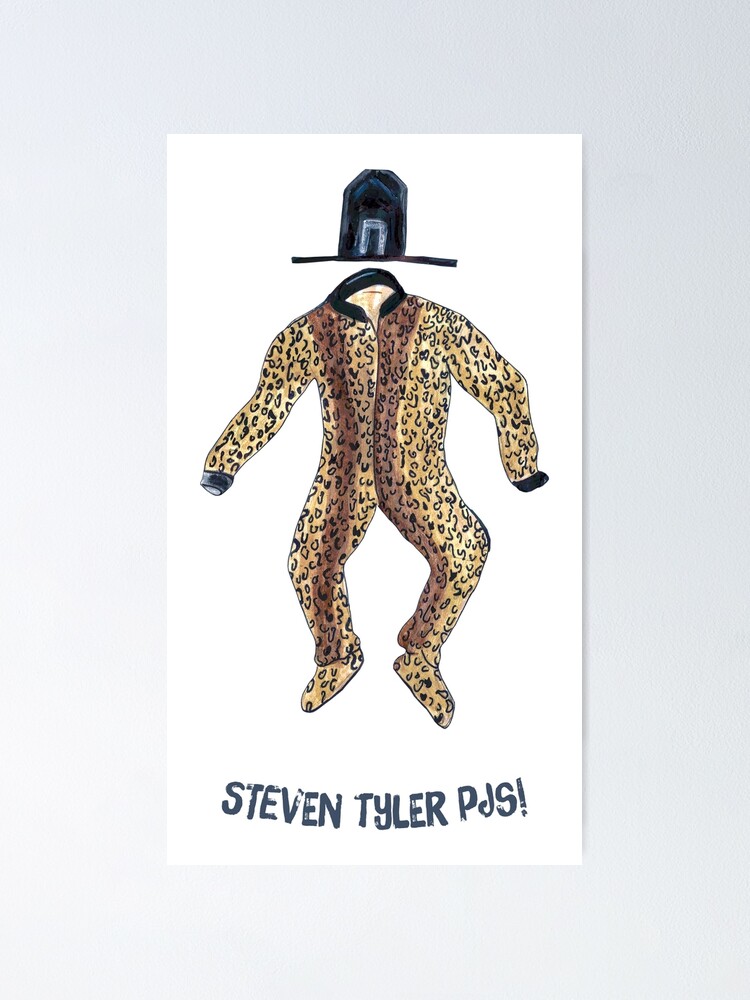 steven tyler poster 0029