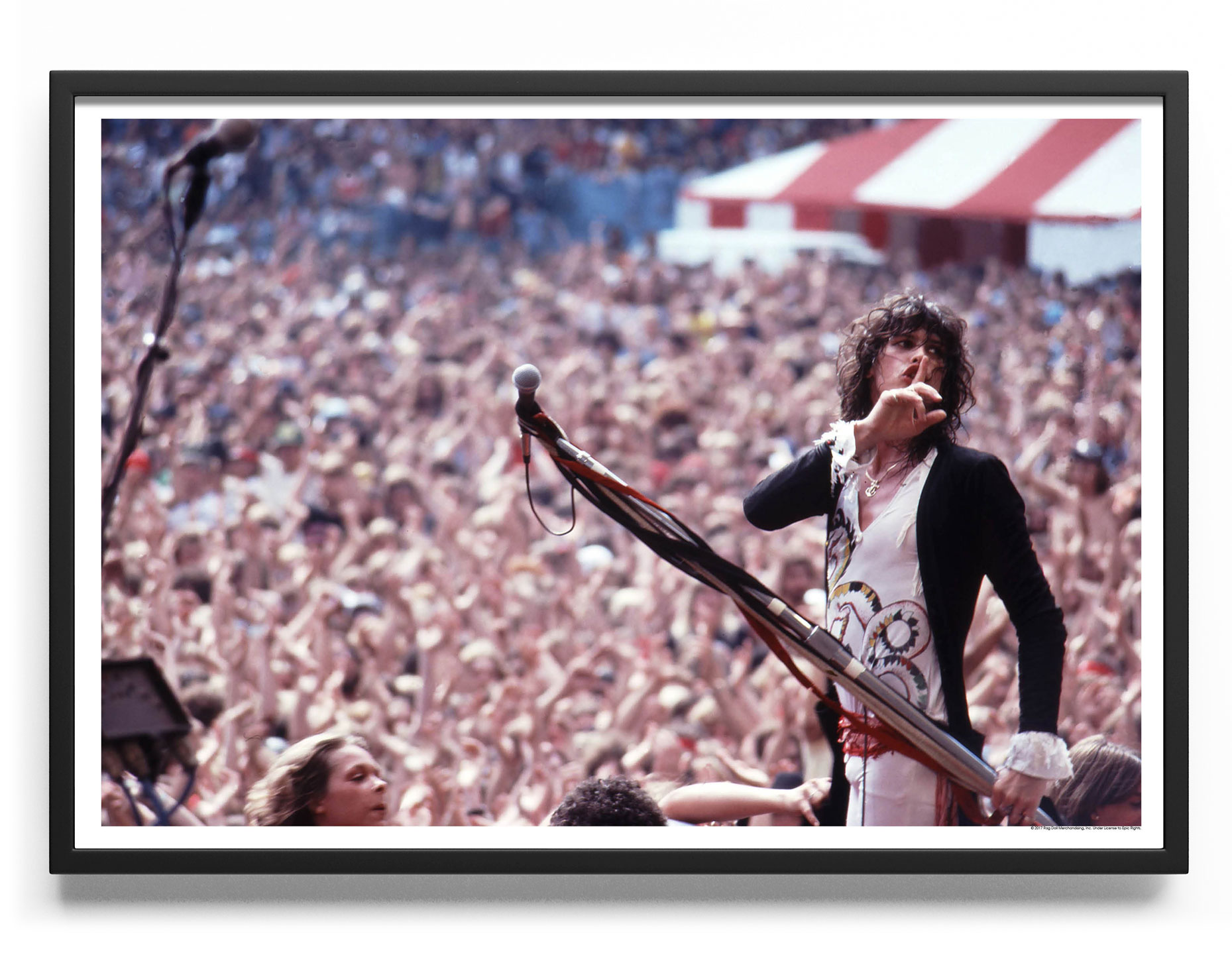 steven tyler poster 0040