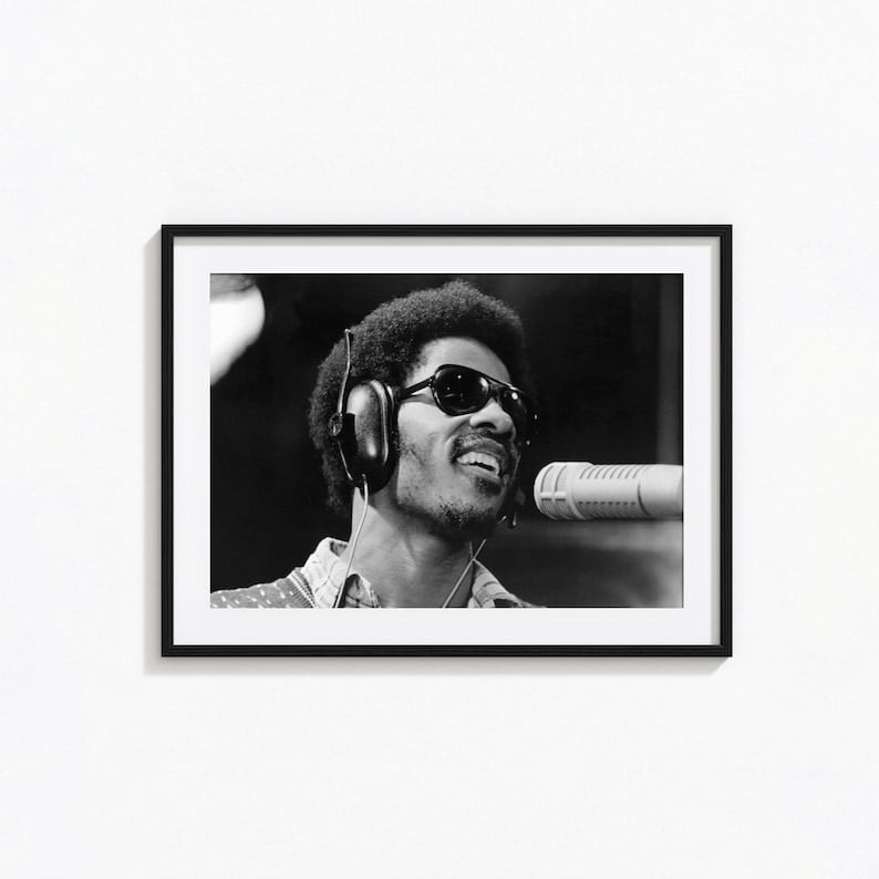 stevie wonder concert poster 0028