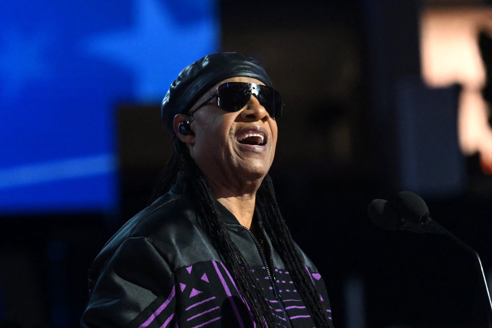stevie wonder photo 0048