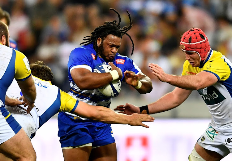 stormers vs harlequins 0012