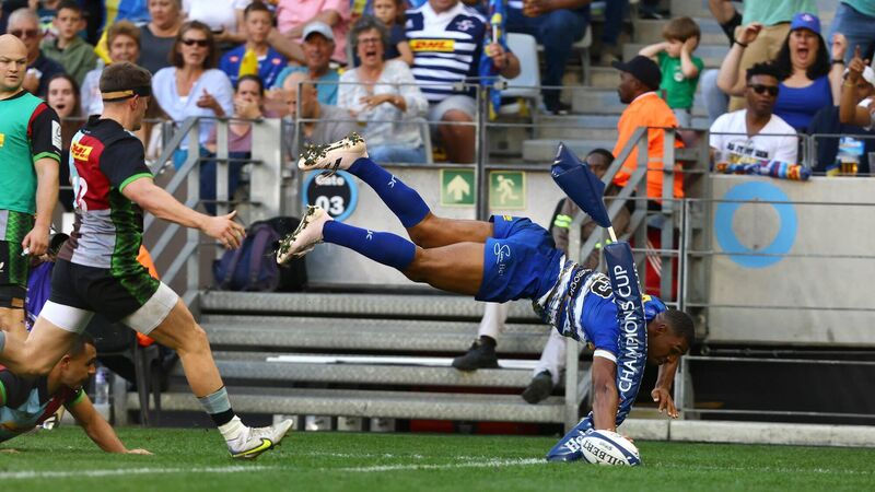 stormers vs harlequins 0031