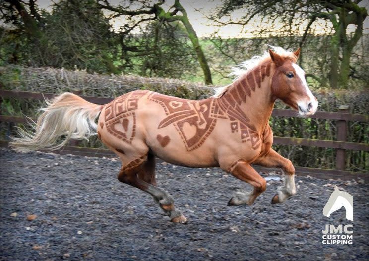stylish horse trims