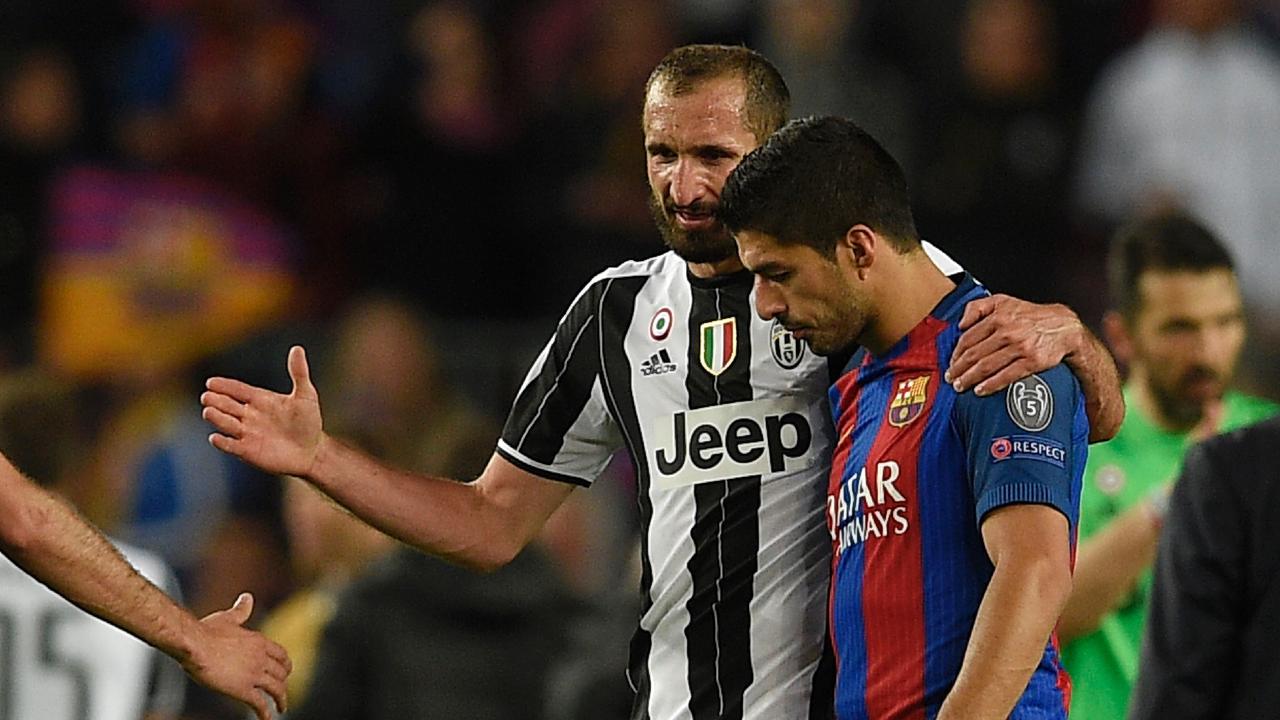 suarez bites chiellini 0014