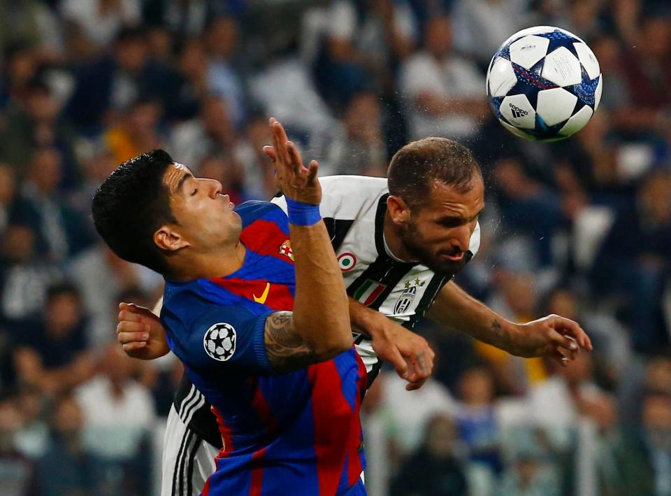 suarez bites chiellini 0073