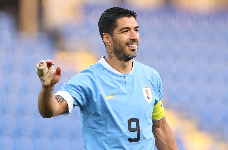 suarez bites chiellini 0075