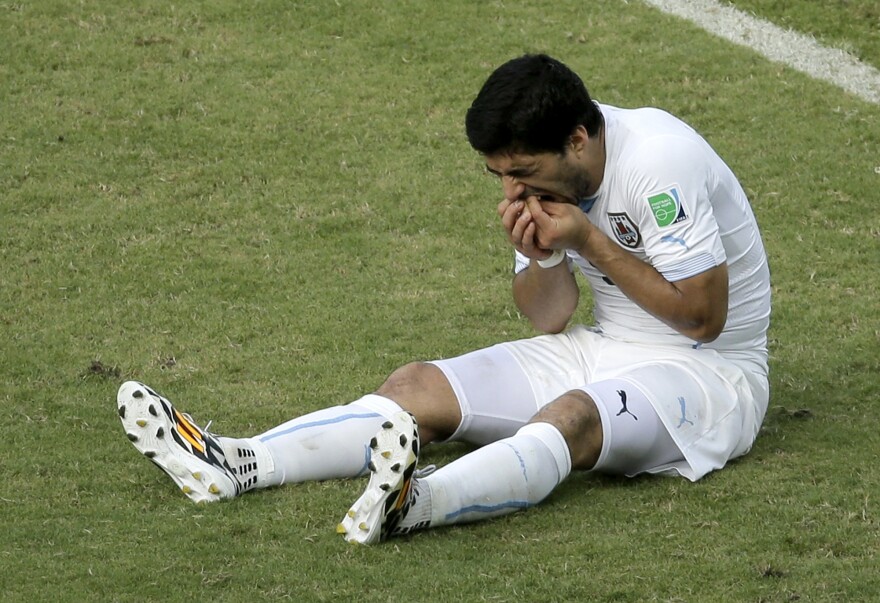 suarez bites chiellini 0079