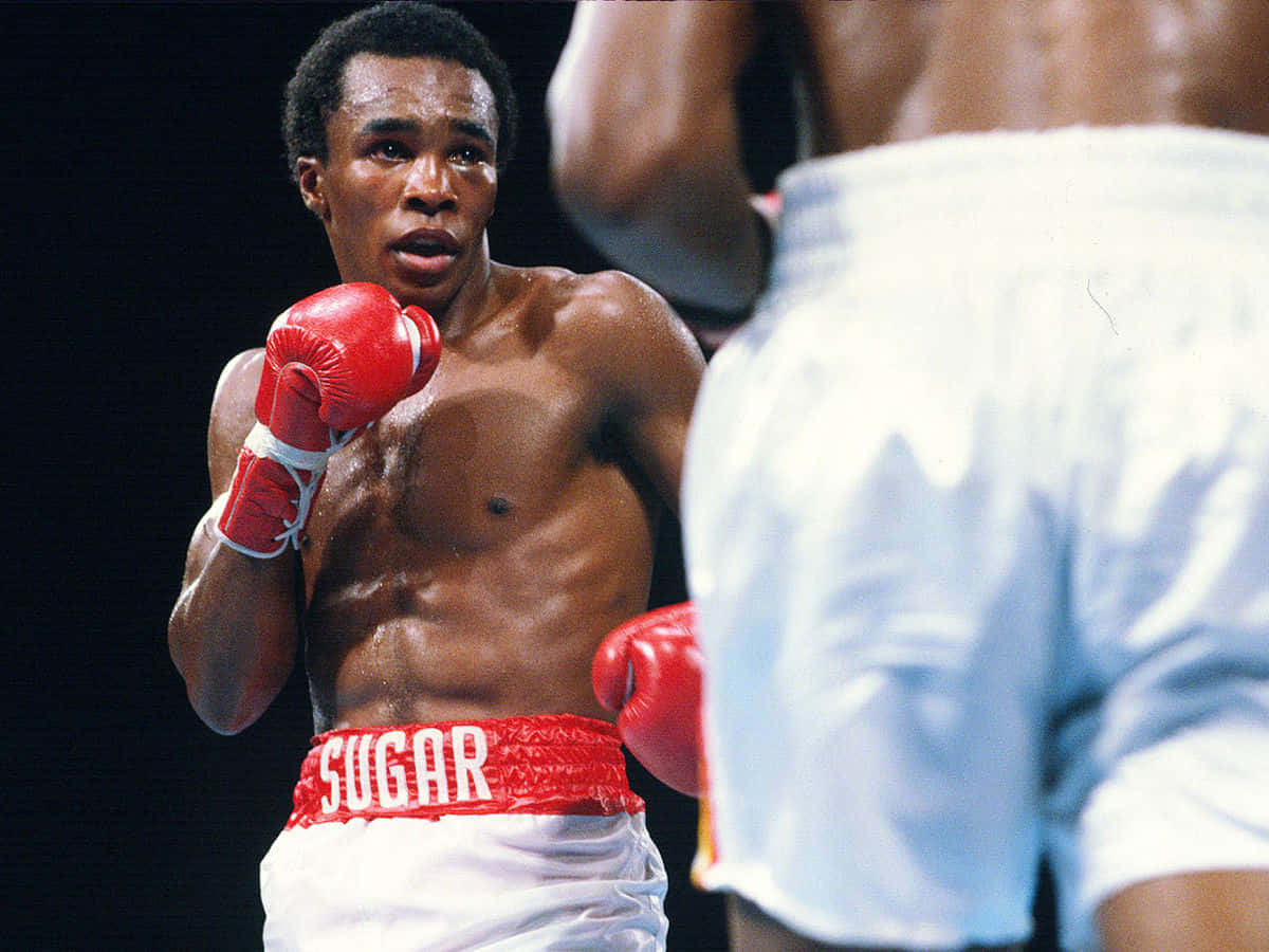 sugar ray leonard wallpaper 0026