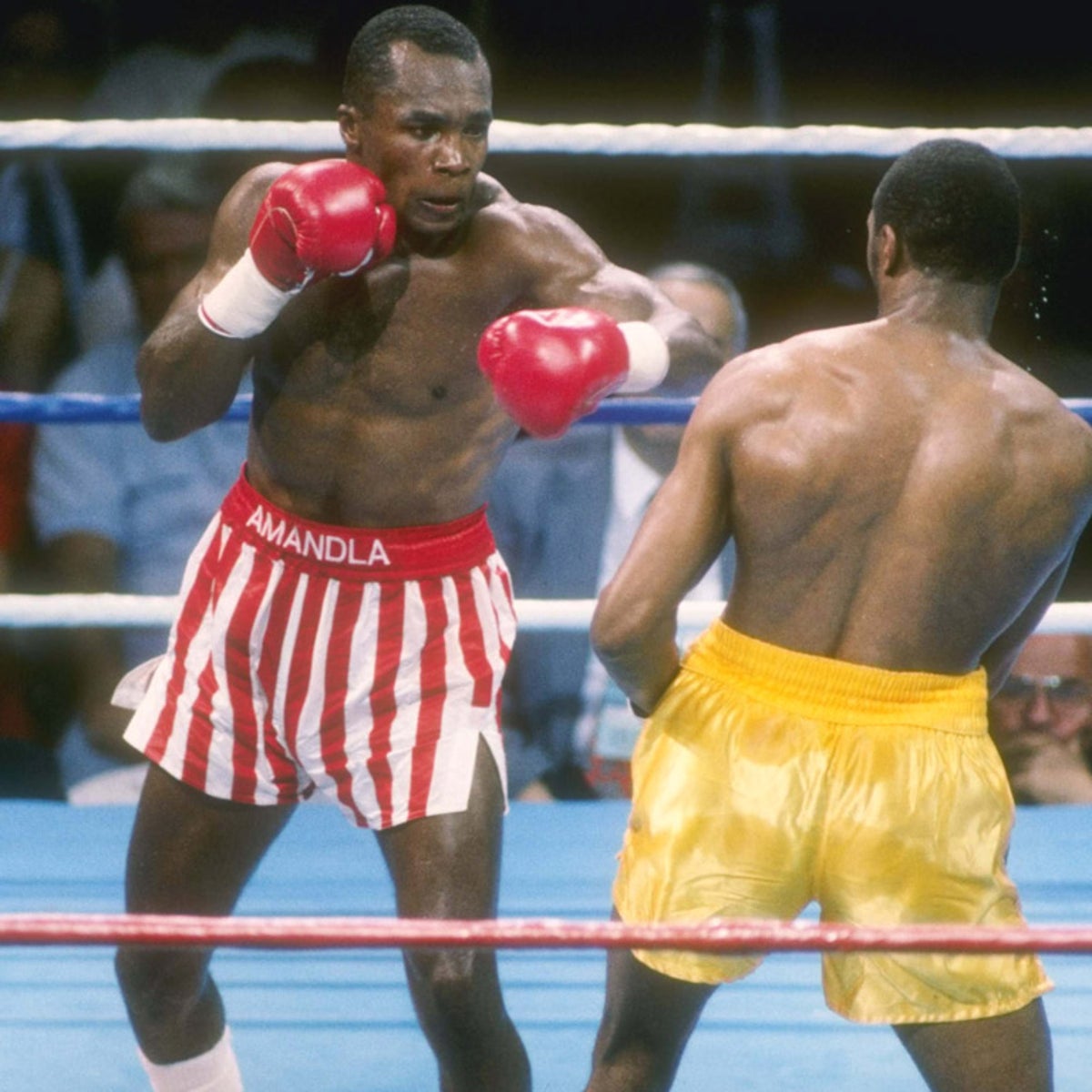 sugar ray leonard wallpaper 0029